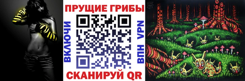 Купить закладки  Междуреченск  Галлюциногенные грибы Magic Shrooms 