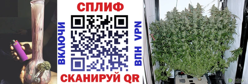 Бошки марихуана SATIVA & INDICA  Купить где  Междуреченск 